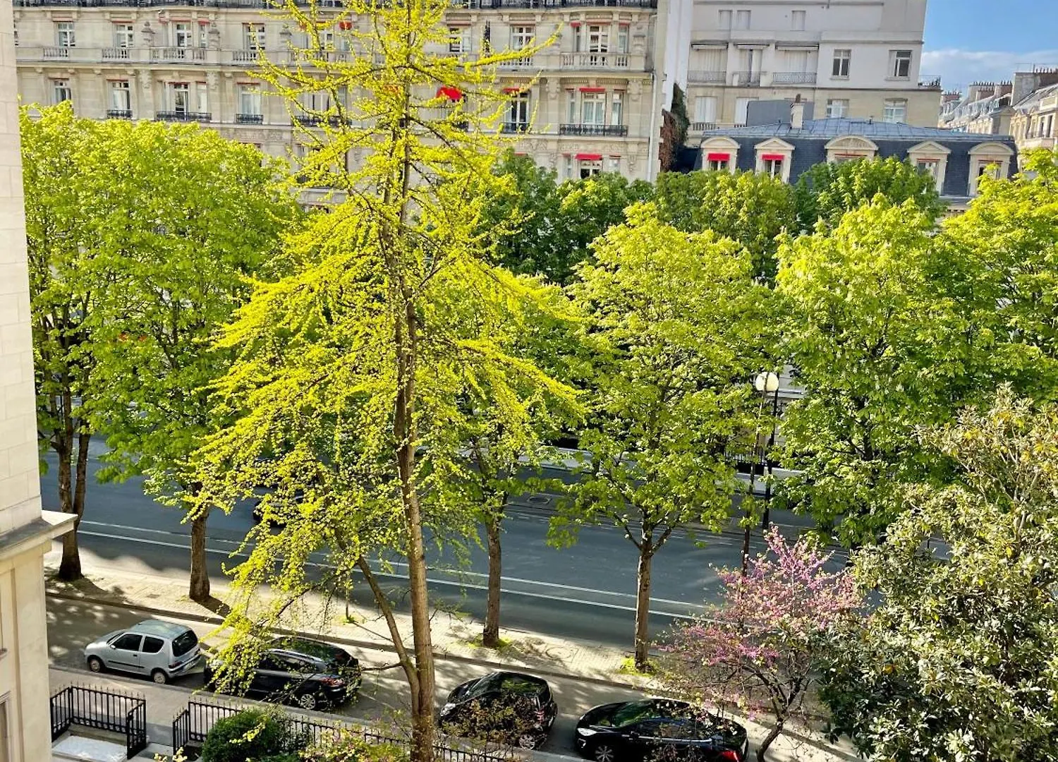 Avenue Montaigne Paris Bienvenue Appartement
